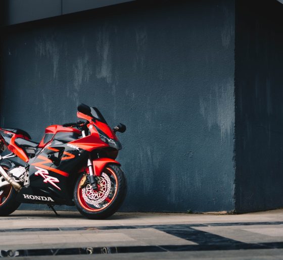 pexels-sourav-mishra-2317519 (1) pexels-sourav-mishra-2317519 (1)