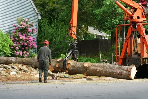 Complete Guide to Lubbers & Sons Tree Care Services
