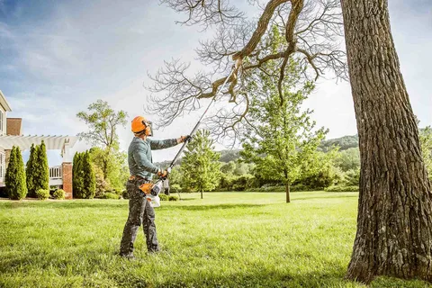 commercial tree care